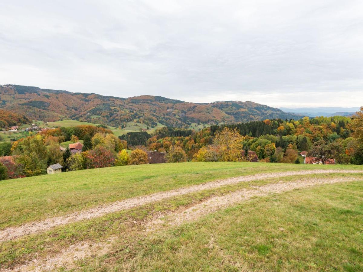 Apartment On The Edge Of The Forest Kleines Wiesental Esterno foto