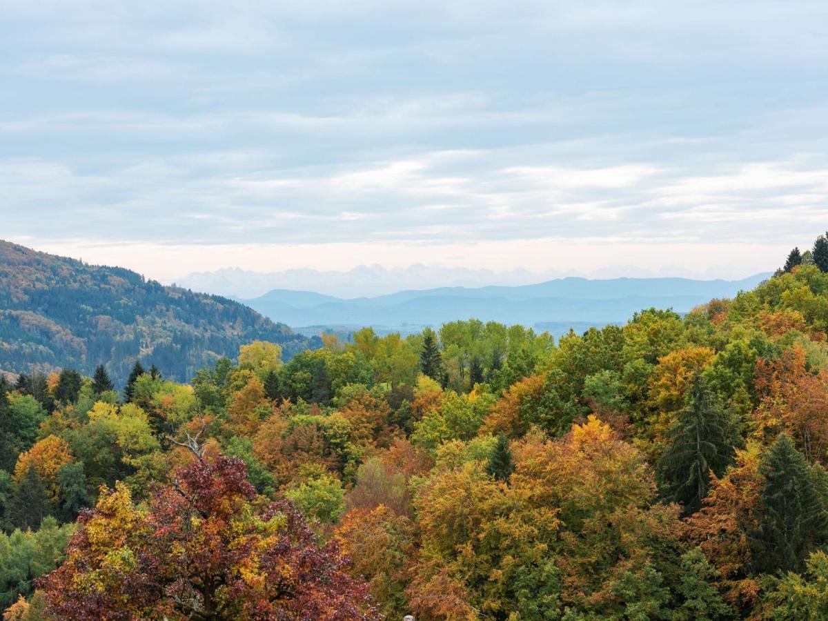 Apartment On The Edge Of The Forest Kleines Wiesental Esterno foto